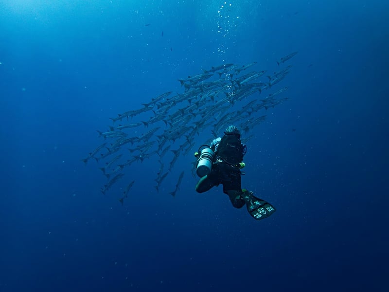 Autonomous Underwater Vehicle